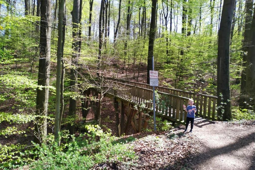 Ferienwohnung Am Teutoburger Wald 1 Эрлингхаузен Экстерьер фото